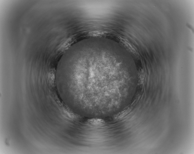 X0000096210427200802081506