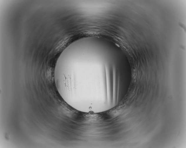 X0000096210428200802081506