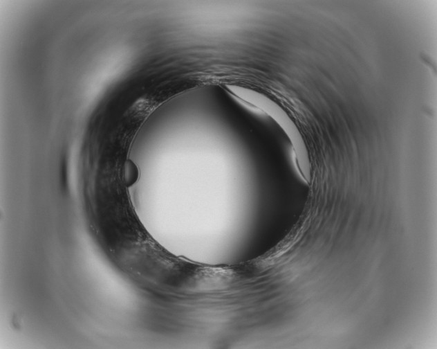 X0000096210429200802081506