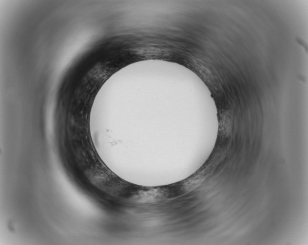 X0000096210430200802081506