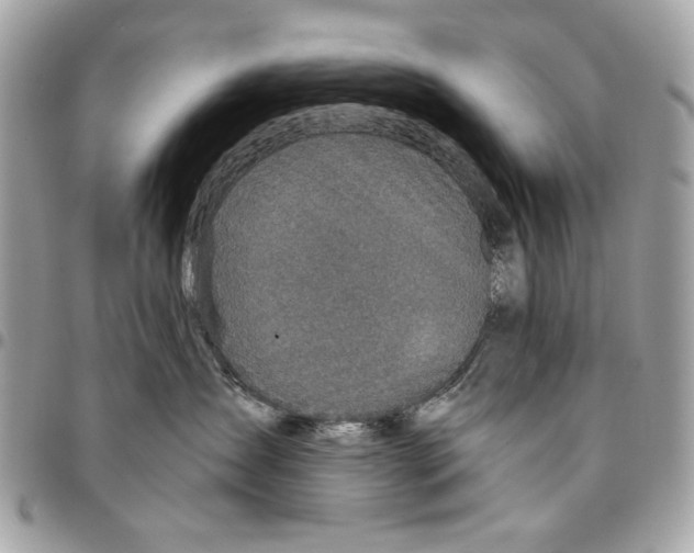 X0000096210431200802081506