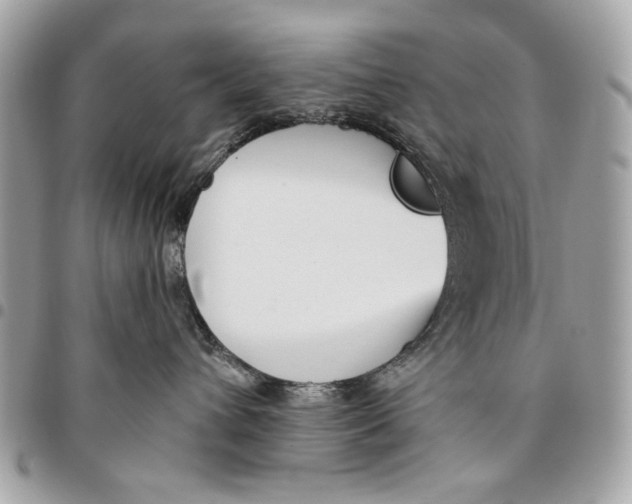 X0000096210432200802081506