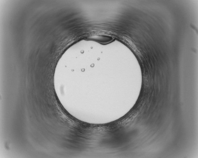 X0000096210433200802081506