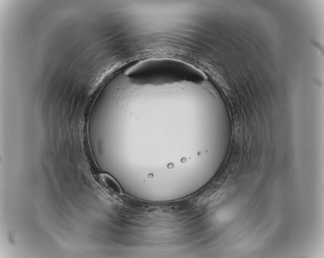 X0000096210434200802081506