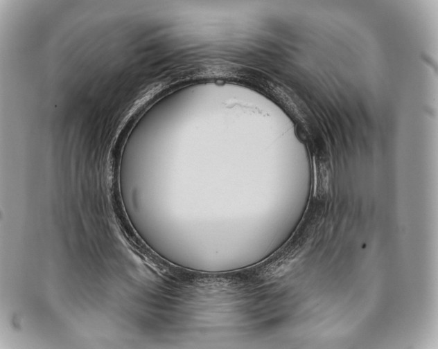 X0000096210435200802081506