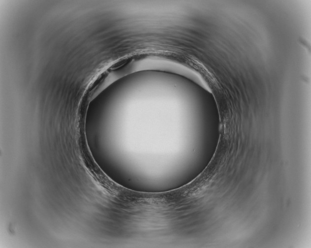 X0000096210436200802081506