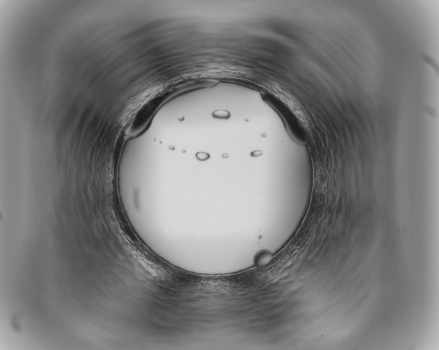 X0000096210437200802081506