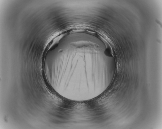 X0000096210438200802081506