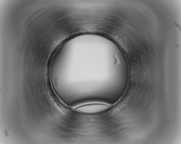 X0000096210439200802081506