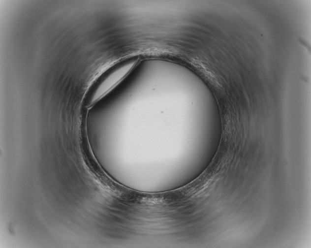 X0000096210440200802081506