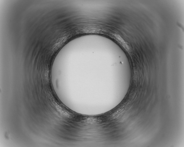 X0000096210441200802081506