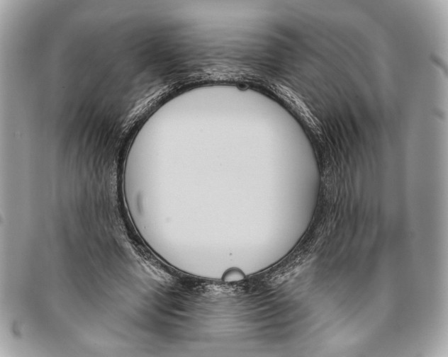 X0000096210442200802081506