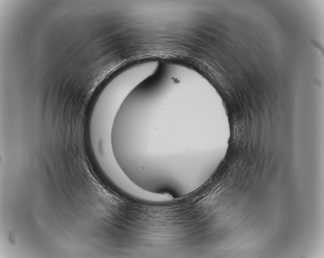 X0000096210444200802081506