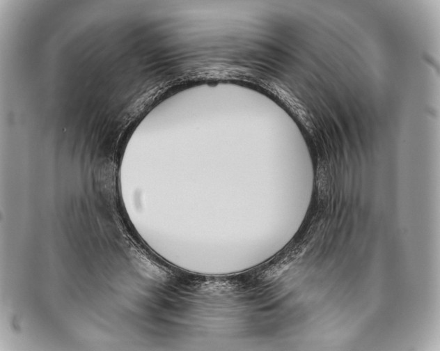 X0000096210445200802081506