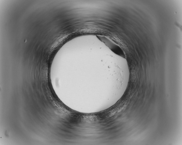 X0000096210446200802081506