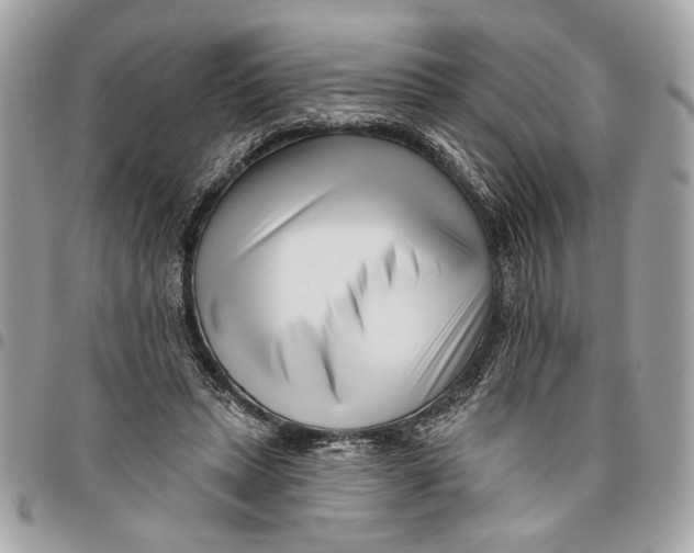 X0000096210447200802081506