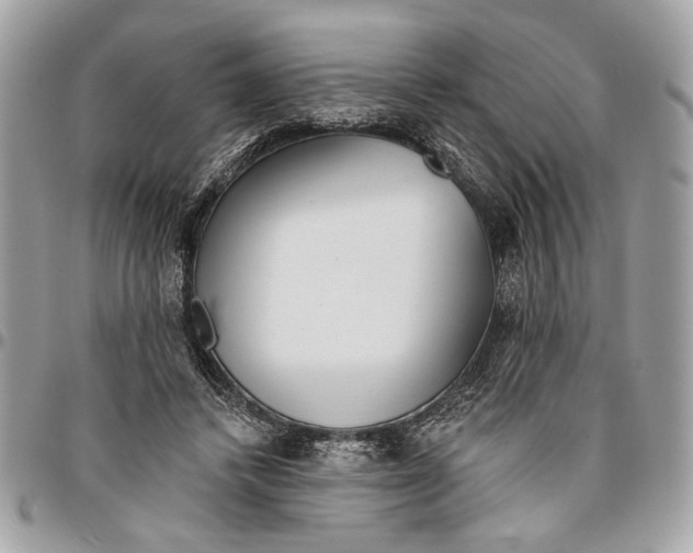 X0000096210448200802081506