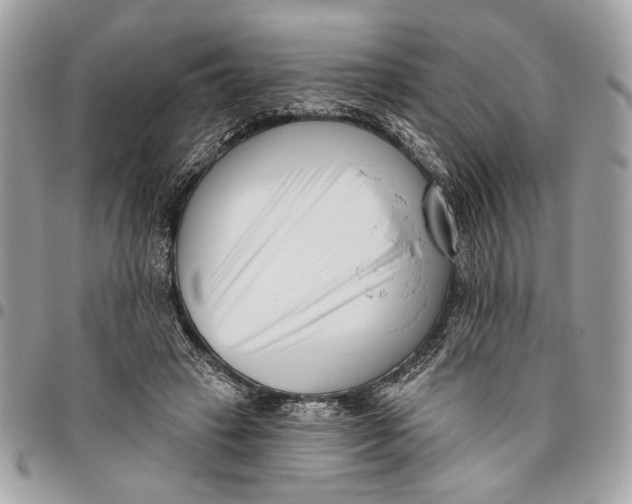 X0000096210449200802081506