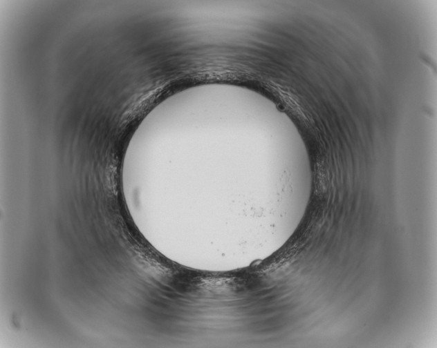 X0000096210450200802081506