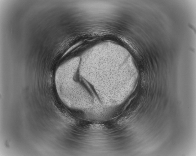 X0000096210451200802081506