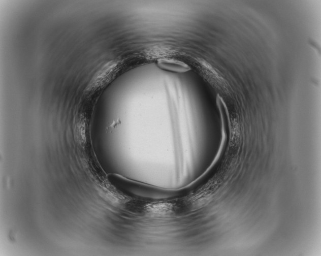 X0000096210452200802081506