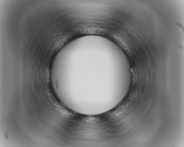 X0000096210453200802081506