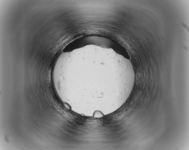 X0000096210454200802081506