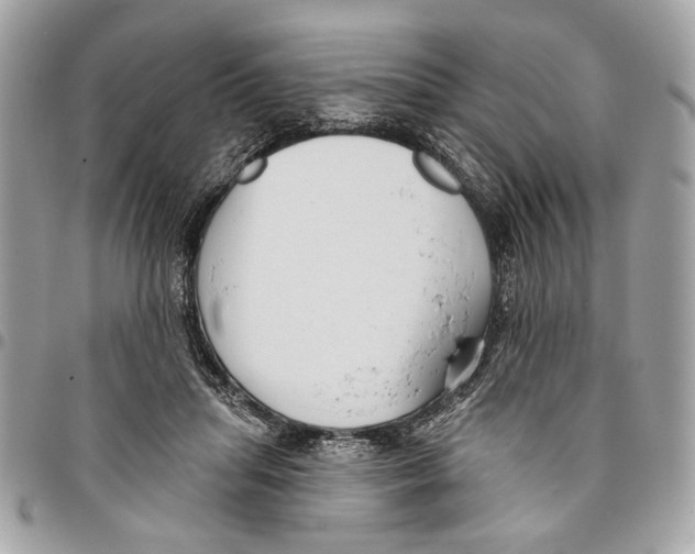 X0000096210455200802081506