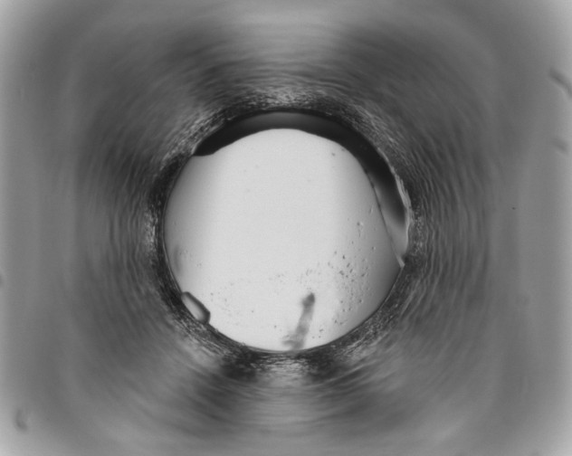 X0000096210456200802081506