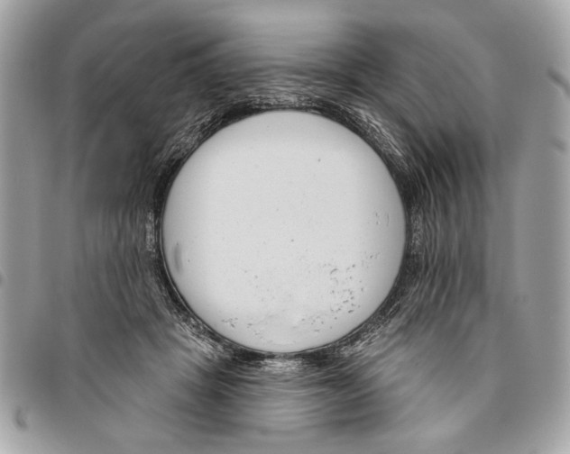 X0000096210457200802081506