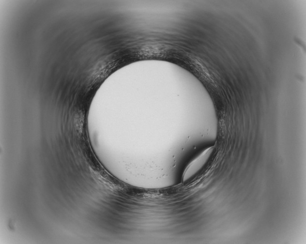 X0000096210458200802081506