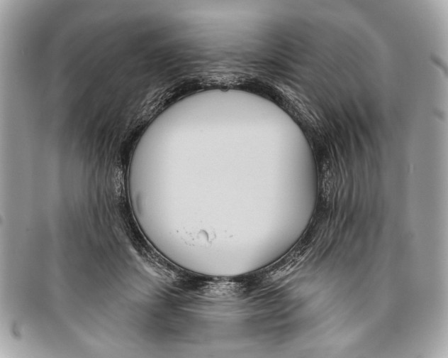 X0000096210459200802081506