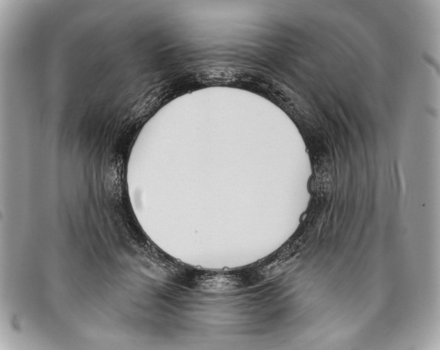 X0000096210460200802081506