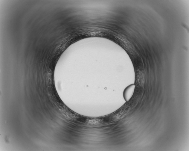 X0000096210461200802081506