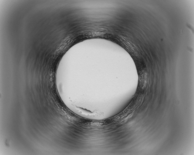 X0000096210462200802081506