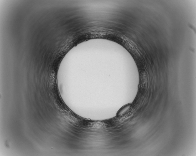 X0000096210463200802081506