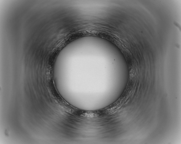 X0000096210464200802081506