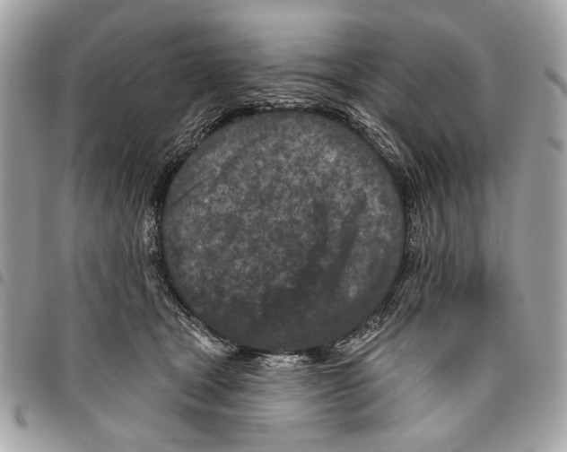 X0000096210465200802081506