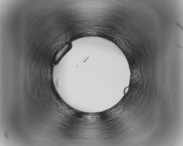 X0000096210466200802081506