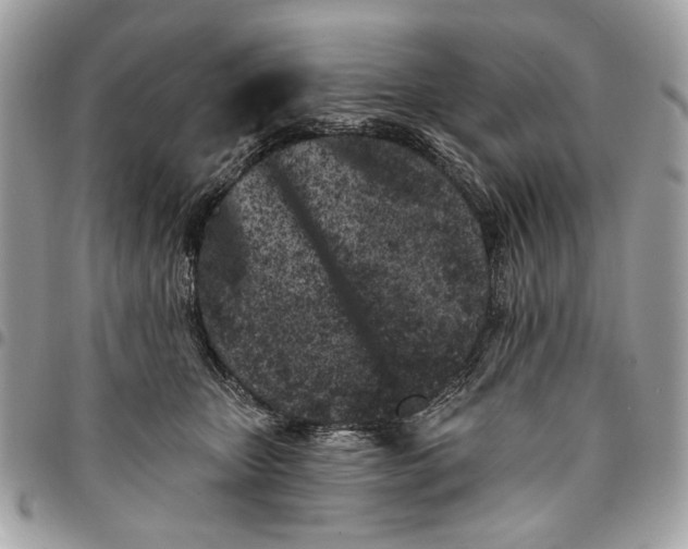 X0000096210467200802081506