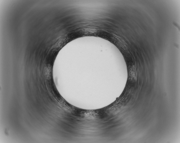 X0000096210468200802081506