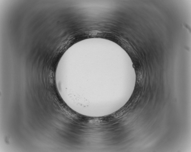 X0000096210470200802081506