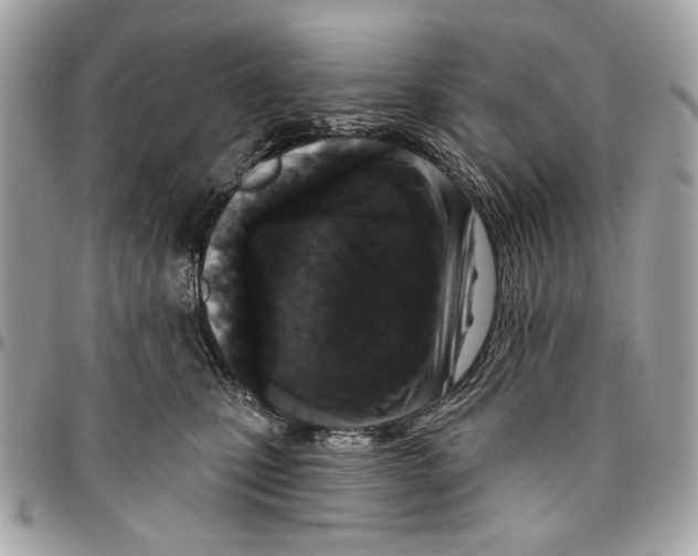 X0000096210471200802081506