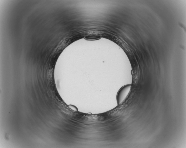 X0000096210473200802081506