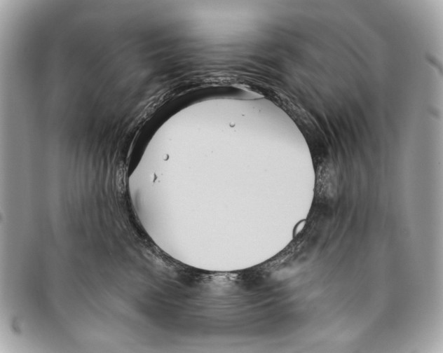 X0000096210474200802081506