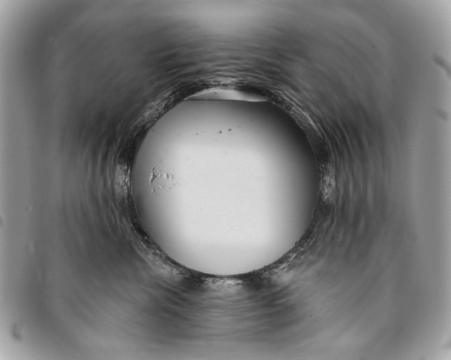 X0000096210476200802081506