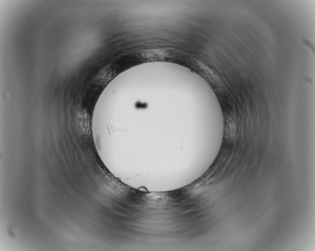 X0000096210477200802081506