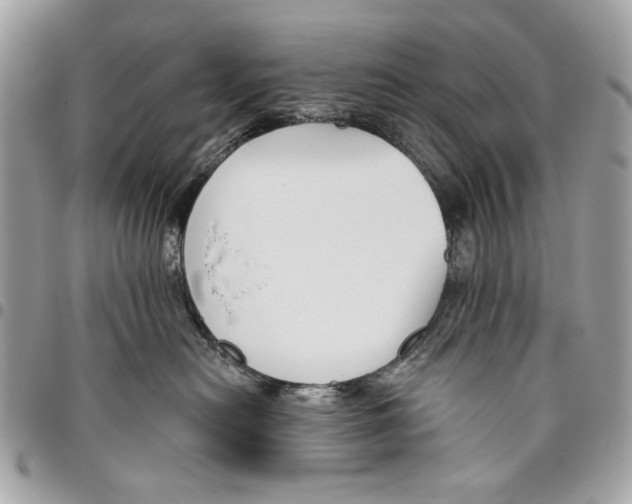 X0000096210478200802081506