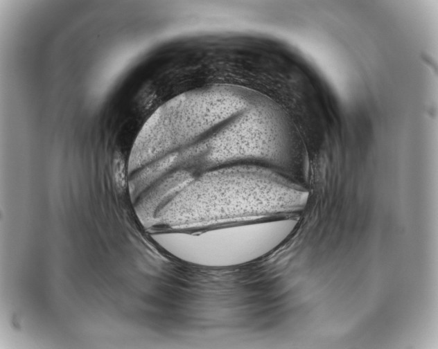 X0000096210479200802081506