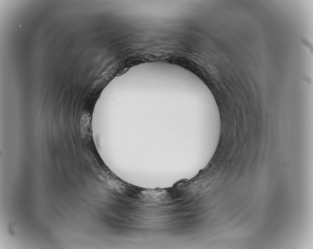 X0000096210480200802081506